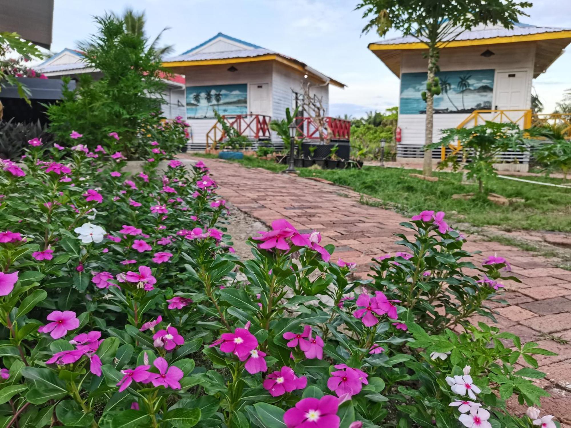 Shunde Palm Resort 仙本那顺德人家棕榈园 Екстер'єр фото